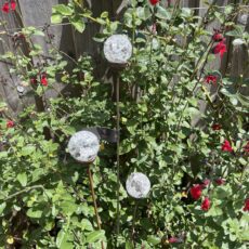 5061098721906 1 Cluster of 3 Garden Stake Ornaments Cracked Short.jpg